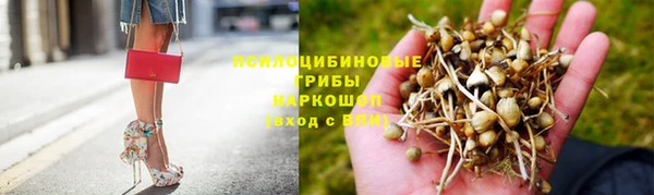 эйфоретик Медвежьегорск