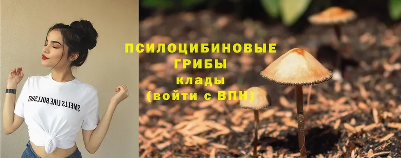 Псилоцибиновые грибы Psilocybe  даркнет сайт  Тарко-Сале 